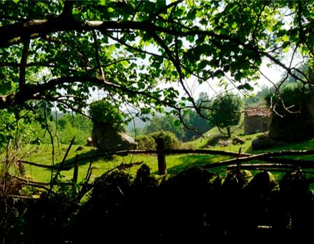 Visita guiada a Llasca de los Moros Cantabria