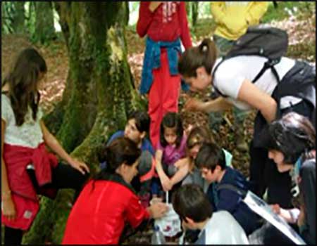 Taller familiar dirigidas por Naturea Cantabria