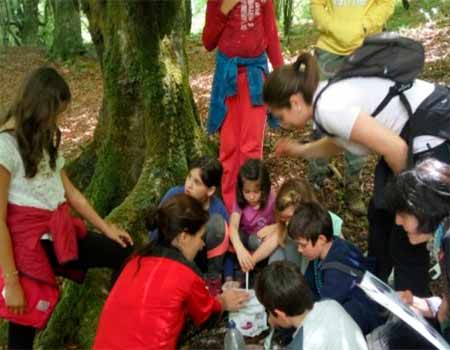 Taller familiar dirigidas por Naturea Cantabria