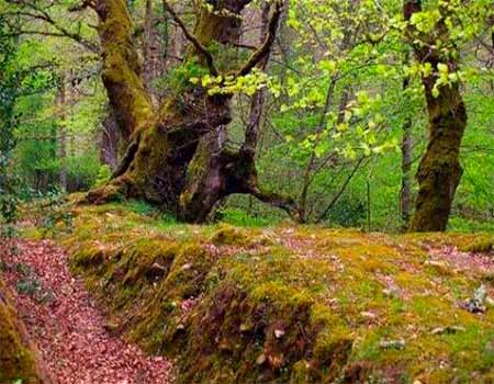 Taller familiar Rutas Oyambre Cantabria